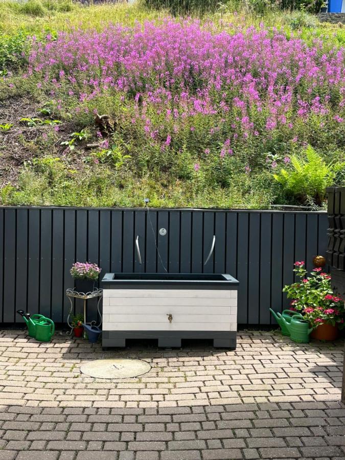 Modernes Top Apartment Mitten Im Bayerischen Wald + Wlan Kostenfrei Schöfweg Exteriör bild