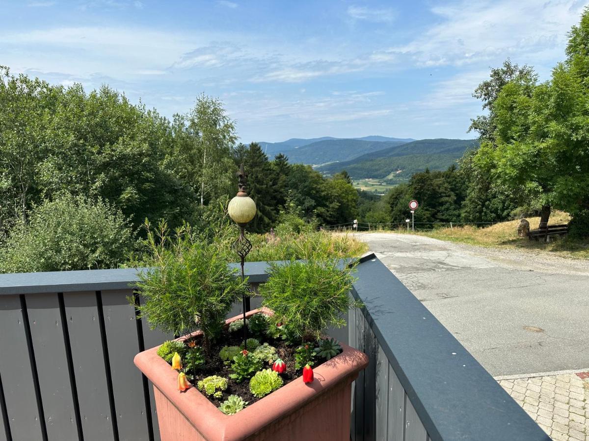 Modernes Top Apartment Mitten Im Bayerischen Wald + Wlan Kostenfrei Schöfweg Exteriör bild