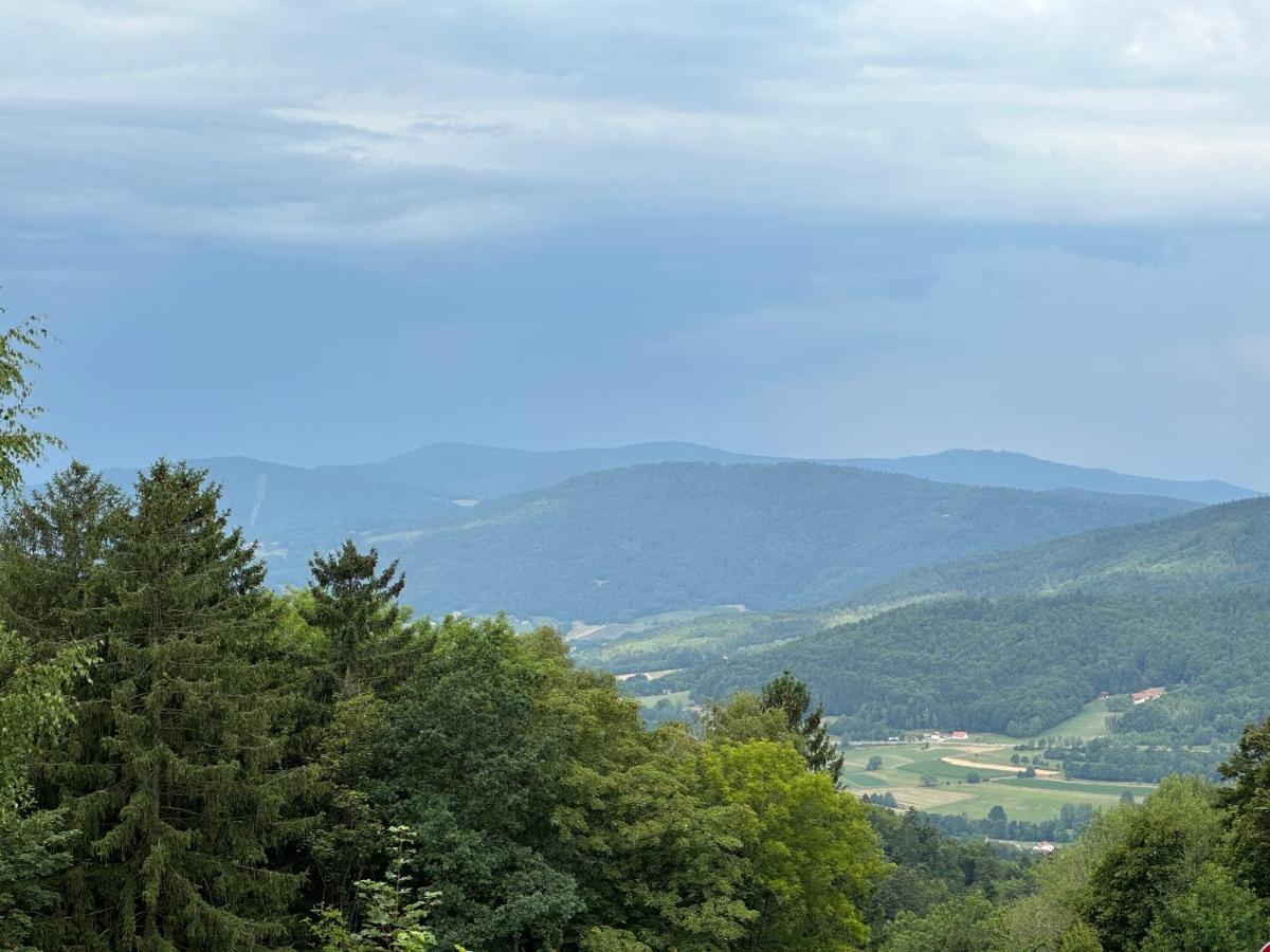 Modernes Top Apartment Mitten Im Bayerischen Wald + Wlan Kostenfrei Schöfweg Exteriör bild